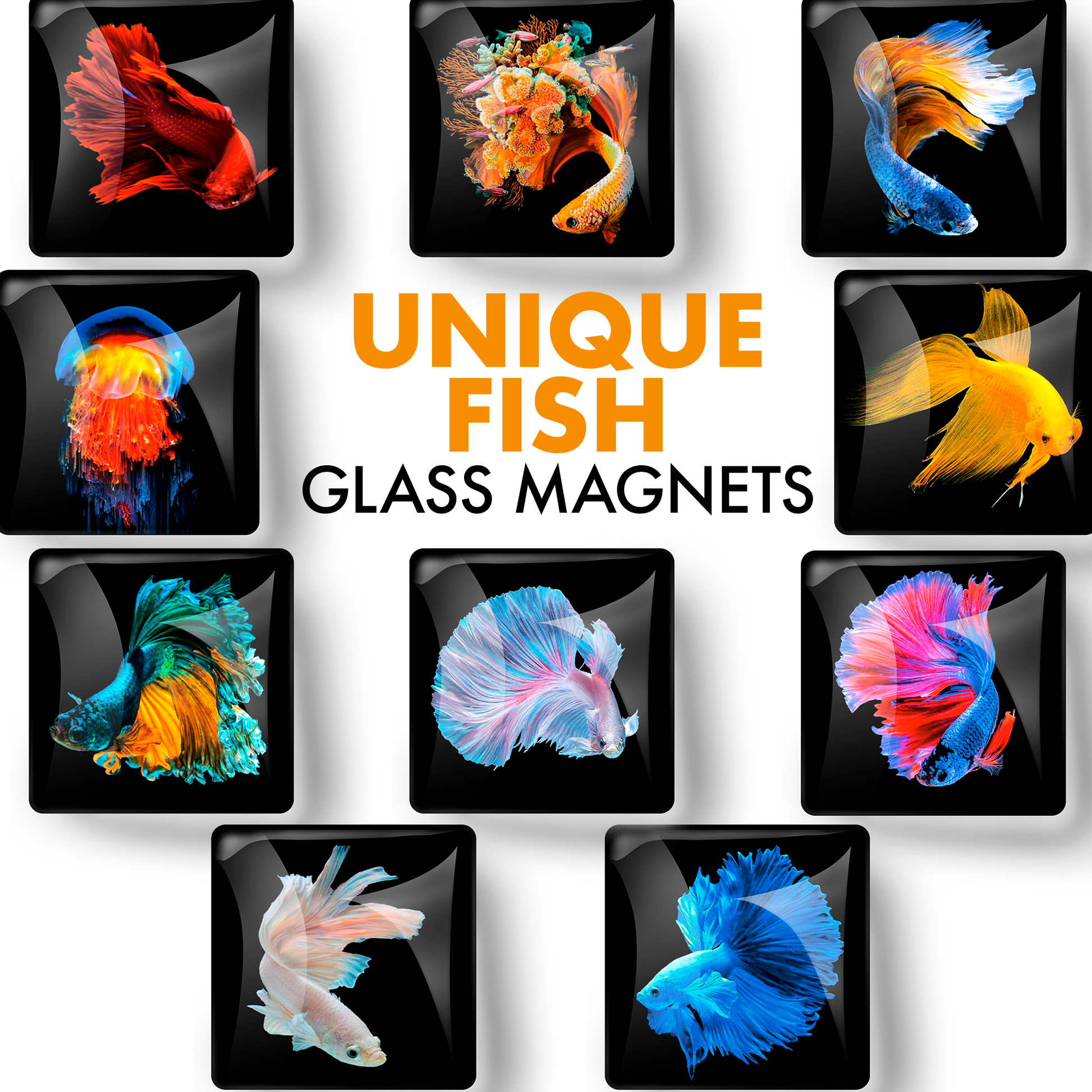 Unique Fish – Glass Refrigerator Magnets 10 PCs – Funny Fridge Magnets for Kitchen, Office and Whiteboard