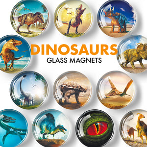 Decorative Magnets for Whiteboard and Fridge - Dinosaur Magnets - Funny Magnets for Rerfrigerator - Glass Magnets - 12 Pcs