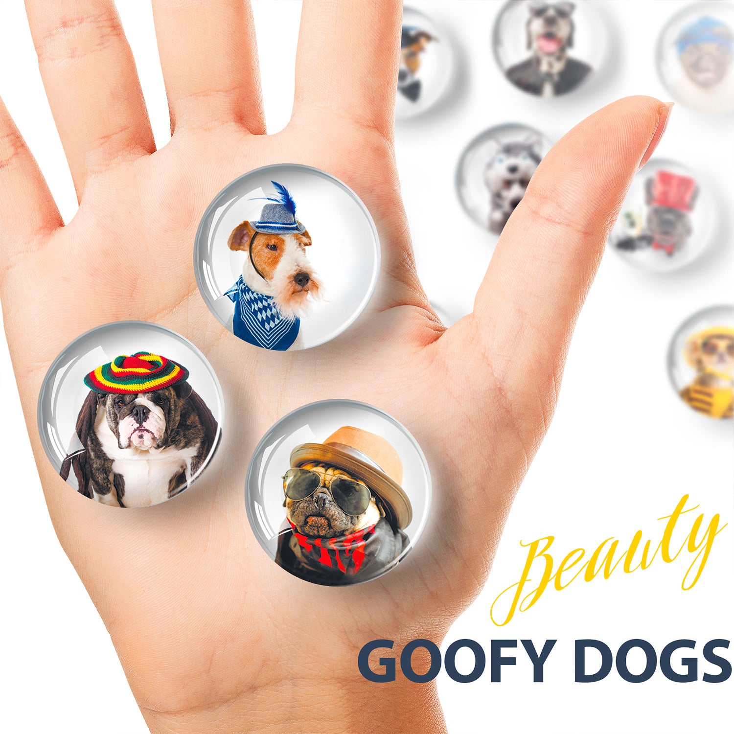 Funny Dogs Decorative Magnets - Cute Fridge Magnets - Decorative Magnets for Whiteboard - Small Round Magnets - 12 Pcs
