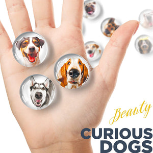Dogs Glass Magnets - Colorful Magnets - Cute Refrigerator Magnets - Ideal for DIY, Science and Hobby - 12 PCs