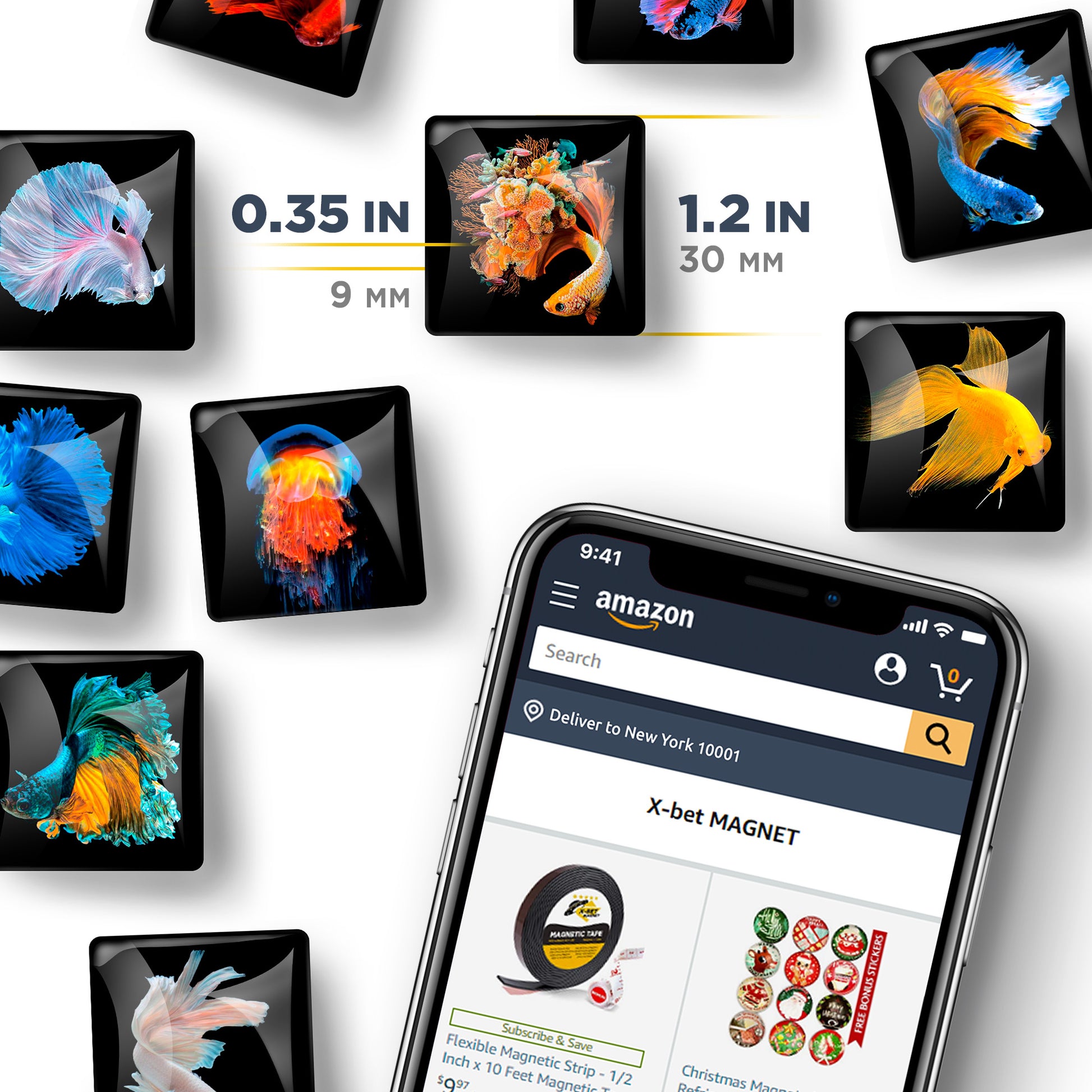 Unique Fish – Glass Refrigerator Magnets  10 PCs – Funny Fridge Magnets for Kitchen, Office and Whiteboard