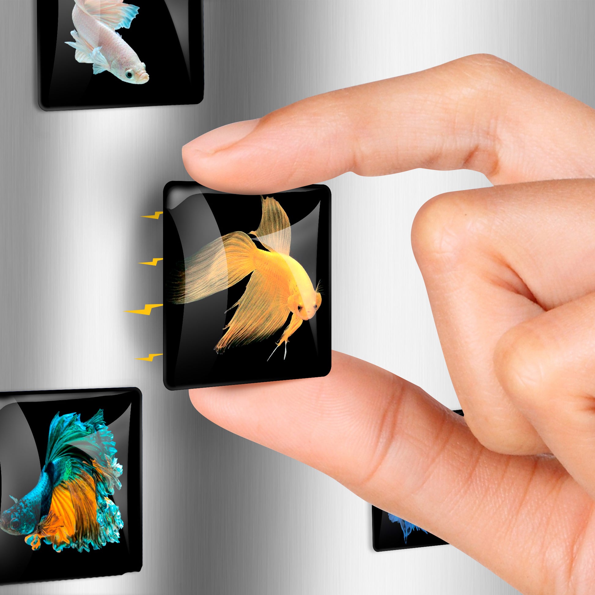 Unique Fish – Glass Refrigerator Magnets  10 PCs – Funny Fridge Magnets for Kitchen, Office and Whiteboard