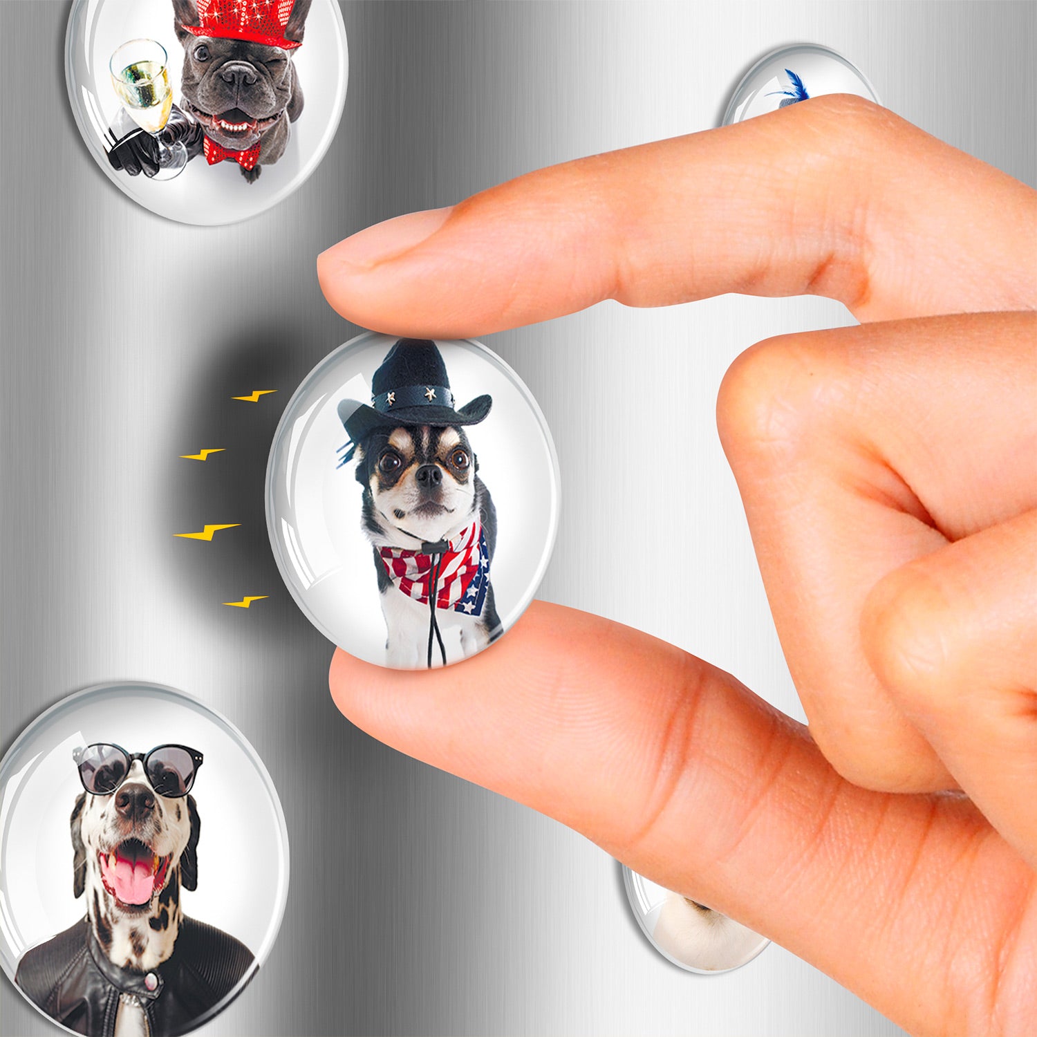Funny Dogs Decorative Magnets - Cute Fridge Magnets - Decorative Magnets for Whiteboard - Small Round Magnets - 12 Pcs
