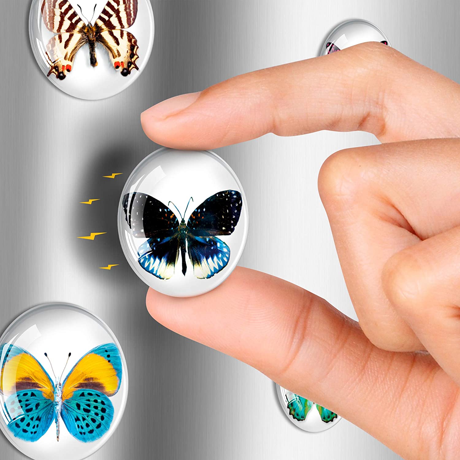 Butterfly Magnets - Fridge Magnets Cute - Funny Refrigerator Magnets - Decorative Magnets for Whiteboard - 12 PCs