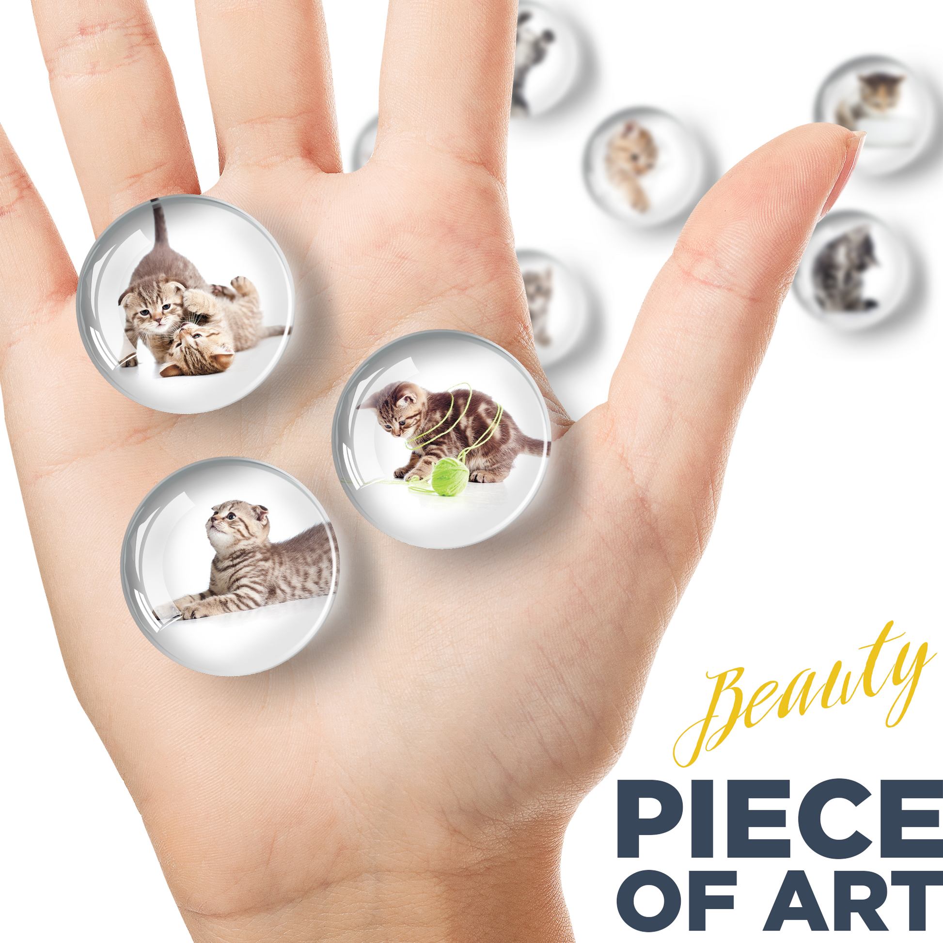 Cat Magnets - Decorative Magnets for Fridge and Whiteboard - Fridge Funny Magnets - Small Round Magnets - 12 PCs