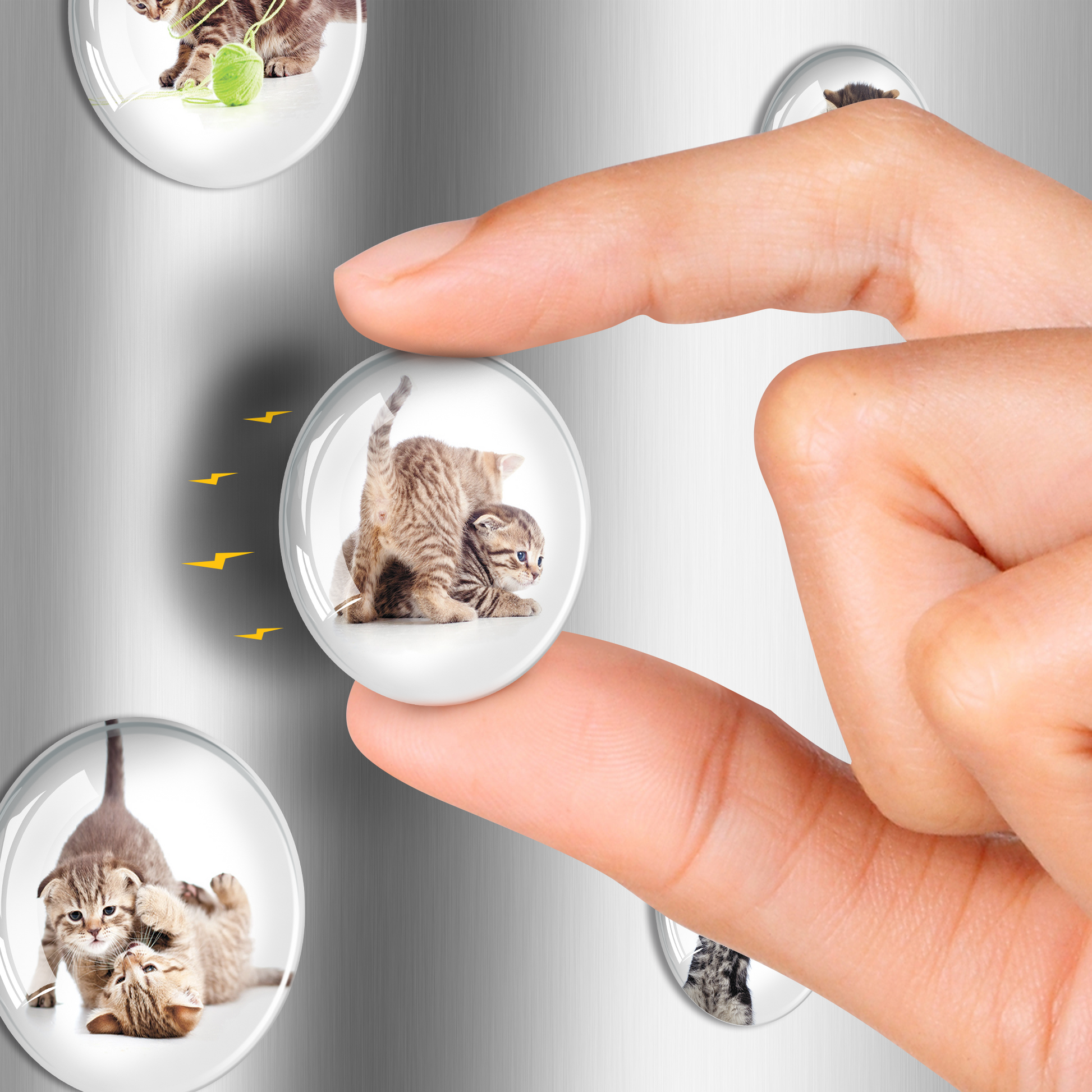 Cat Magnets - Decorative Magnets for Fridge and Whiteboard - Fridge Funny Magnets - Small Round Magnets - 12 PCs