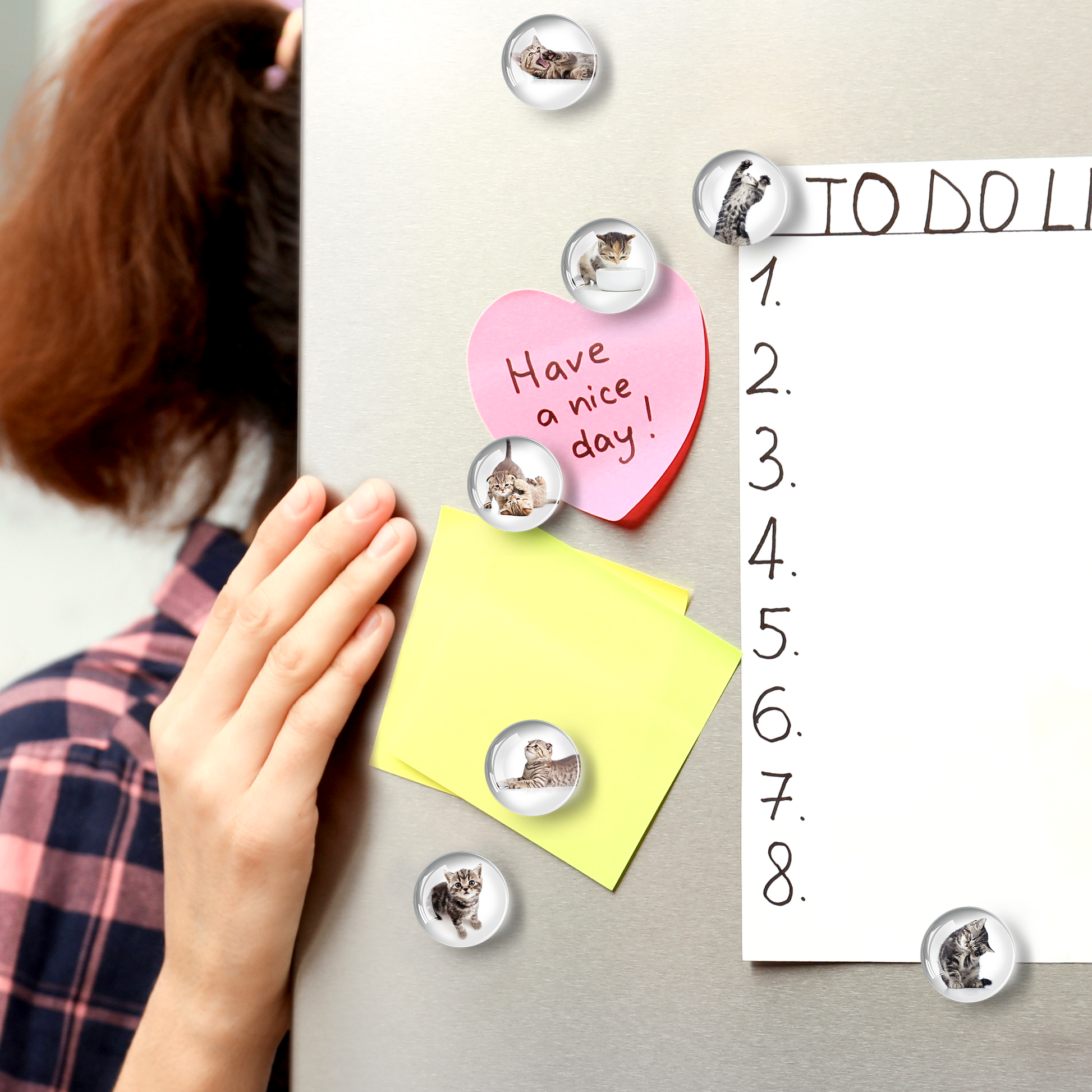 Cat Magnets - Decorative Magnets for Fridge and Whiteboard - Fridge Funny Magnets - Small Round Magnets - 12 PCs
